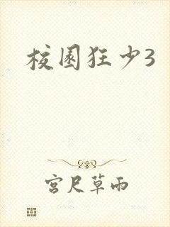 校园狂少3