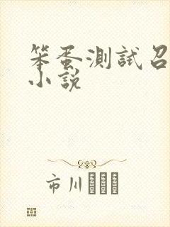 笨蛋测试召唤兽小说