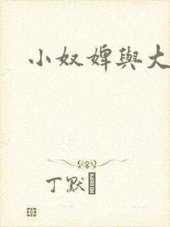 小奴婢与大少爷