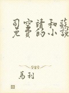司空靖和苏月汐免费的小说笔趣阁