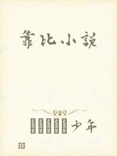 靠比小说