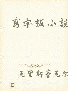 写字板小说