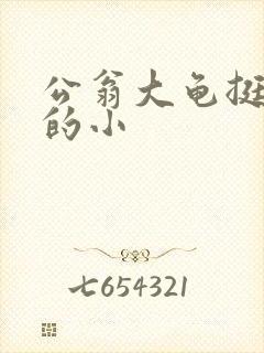 公翁大龟挺进我的小