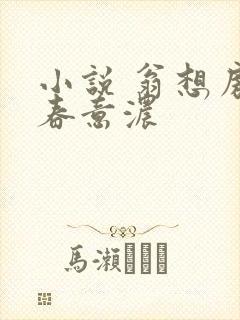 小说 翁想房中春意浓