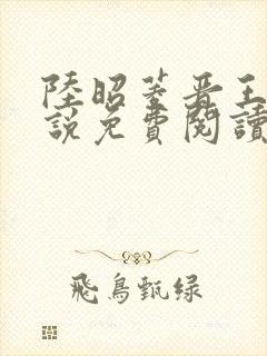 陆昭菱晋王的小说免费阅读