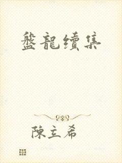 盘龙续集封面