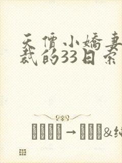 天价小娇妻,总裁的33日索情全文免费