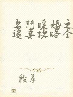 名门暖婚之权爷追妻攻略全文免费阅读封面