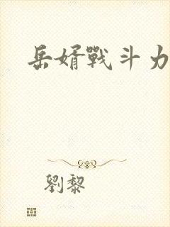 岳婿战斗力