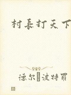 村长打天下封面