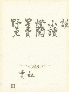 野星灯小说全文免费阅读