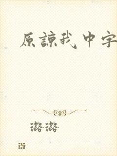 原谅我中字封面
