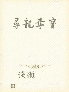 寻龙夺宝封面