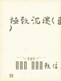 极致沉迷(臣年)封面