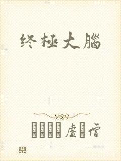 终极大脑封面
