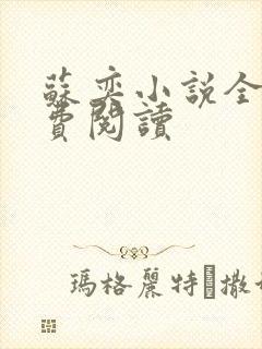 苏奕小说全文免费阅读