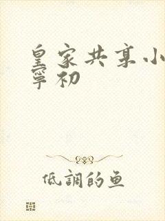 皇家共享小公主宁初