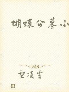 蝴蝶公墓小说封面