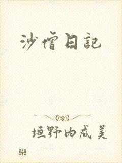 沙僧日记封面