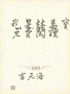 我是林喜宝小说免费阅读