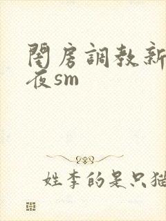 闺房调教新婚之夜sm封面