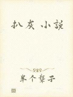 扒灰 小说封面