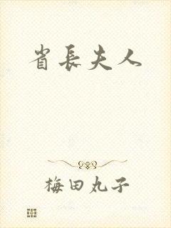 省长夫人