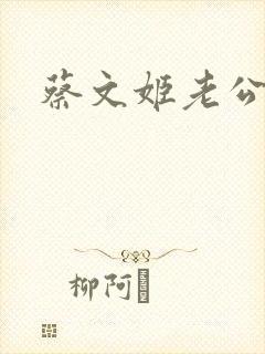蔡文姬老公