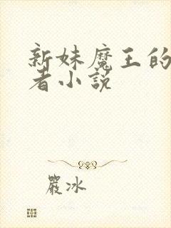 新妹魔王的契约者小说