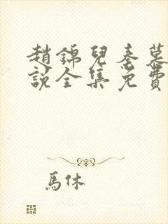 赵锦儿秦慕修小说全集免费封面