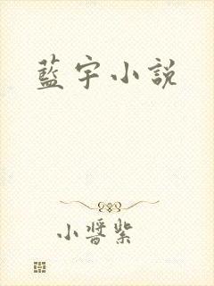 蓝宇小说