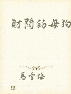 财阀的母狗们