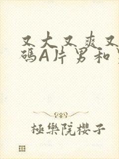又大又爽又黄无码A片男和男