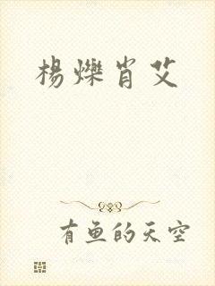 杨烁肖艾