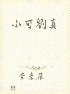小可刘真封面
