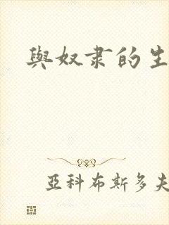 与奴隶的生活