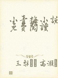 小青梅小说全文免费阅读封面