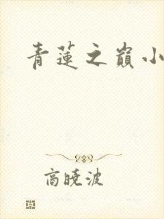青莲之巅小说