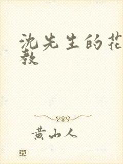 沈先生的花式调教