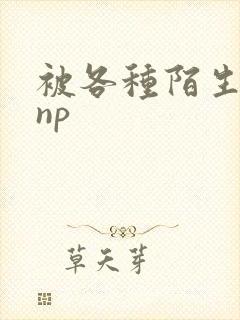 被各种陌生人 np封面