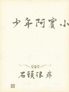 少年阿宾小说