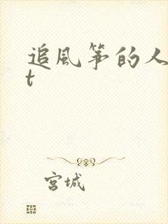 追风筝的人txt