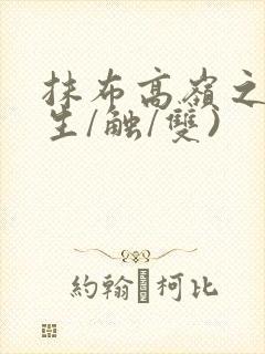 抹布高岭之花(生/触/双)