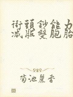 街头钞能力无删减版双胞胎封面