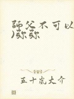 师父不可以(限)弥弥封面