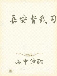 长安督武司