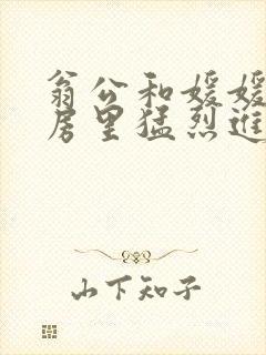 翁公和媛媛在厨房里猛烈进出封面