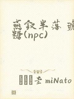 燕钗半落 琥珀糖(npc)