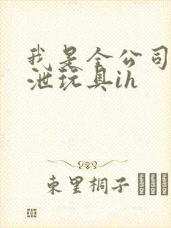 我是全公司的发泄玩具ih