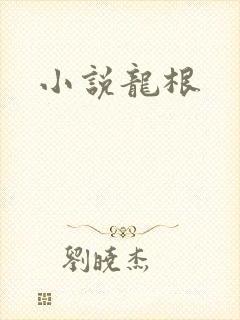 小说龙根